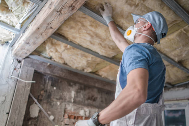 Best Types of Insulation in Chenoa, IL