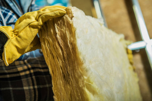 Best Insulation Maintenance and Repair in Chenoa, IL