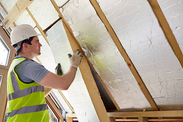 Best Commercial Insulation in Chenoa, IL