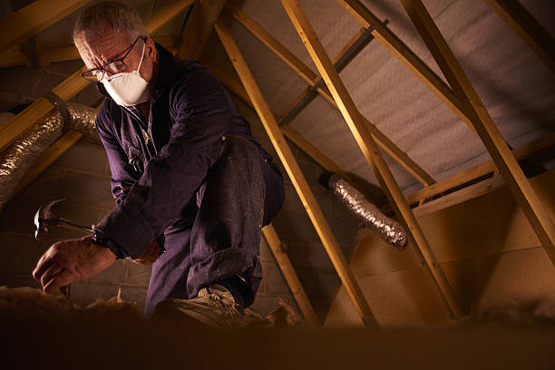Best Specialty Insulation in Chenoa, IL